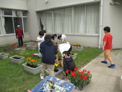 6月2週