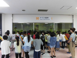 6月2週