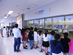 6月2週