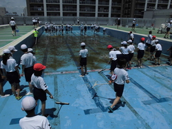 6月3週