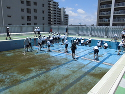6月3週