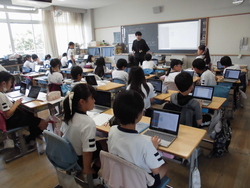 6月3週