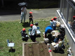 6月3週