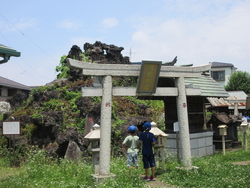 六月二八日