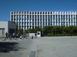 6月4週