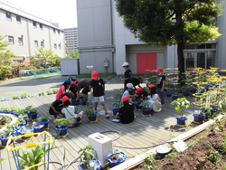 6月4週