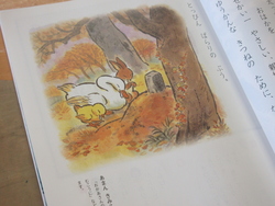 七月十一日