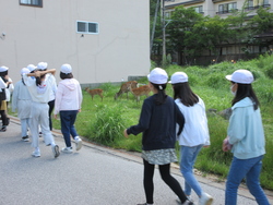 修学旅行