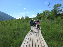 修学旅行