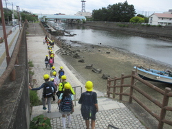 富岡小学校の近くを流れる境川