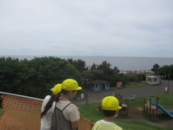 高洲海浜公園では、展望台から東京湾を眺め、海の広さを感じました