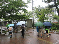 九月八日