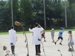 九月一二日