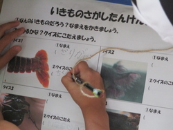 いきものふれあい教室