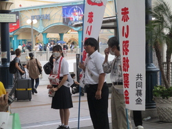 赤い羽根街頭募金
