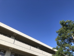 澄み渡る青空