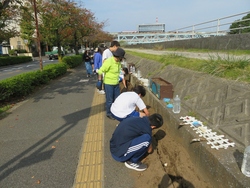 花植え