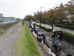 花植え