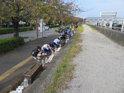 花植え