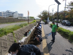 花植え