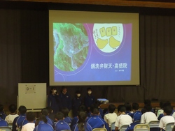 発表