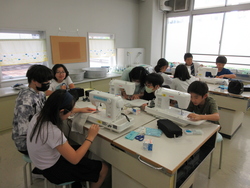 9月4週