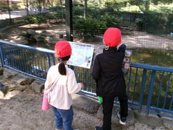 千葉市動物公園01