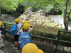 猿山を見る児童