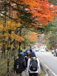 修学旅行