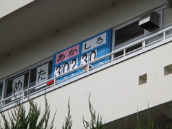 運動会06