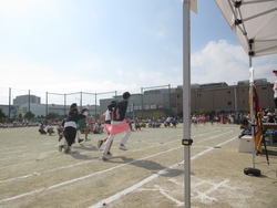 運動会