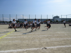 運動会
