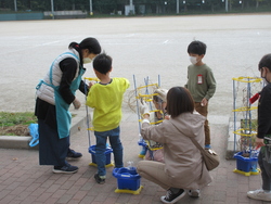 十一月一五日