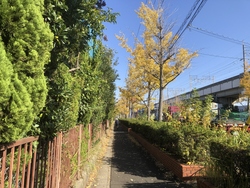 秋の景色