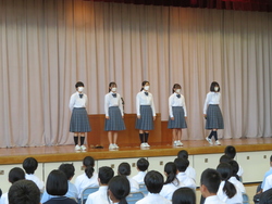 43期