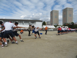 綱引き