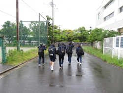 雨