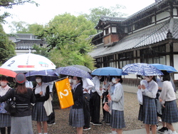 雨