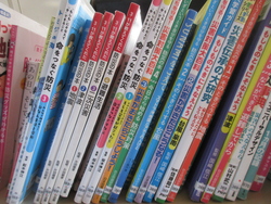 十一月二九日