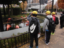 国会04