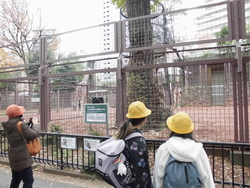 国会05