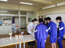5組販売会
