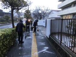 雪