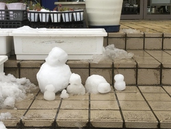 大雪