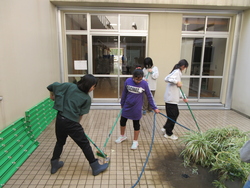 三月四日