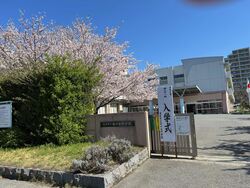 校門前の桜が満開に咲きました
