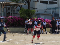 ソフト