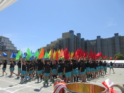 6年