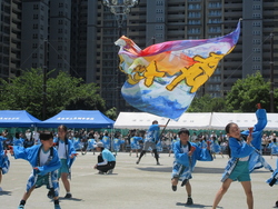 よさこい