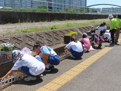 クリーン